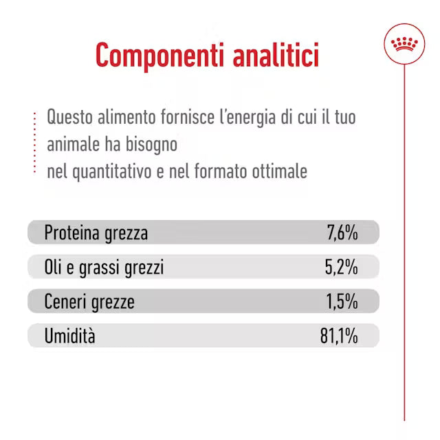 Royal Canin straccetti in salsa per cane adulto mini, porzione visibile nel piatto Royal Canin straccetti in salsa per cane adulto mini, porzione visibile nel piatto